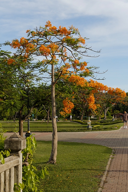 Suan Luang-JUN14-025